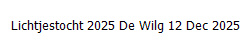Lichtjestocht 2025 De Wilg 12 Dec 2025